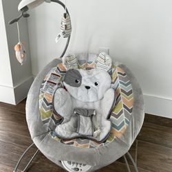 Fisher-Price Deluxe Bouncer 