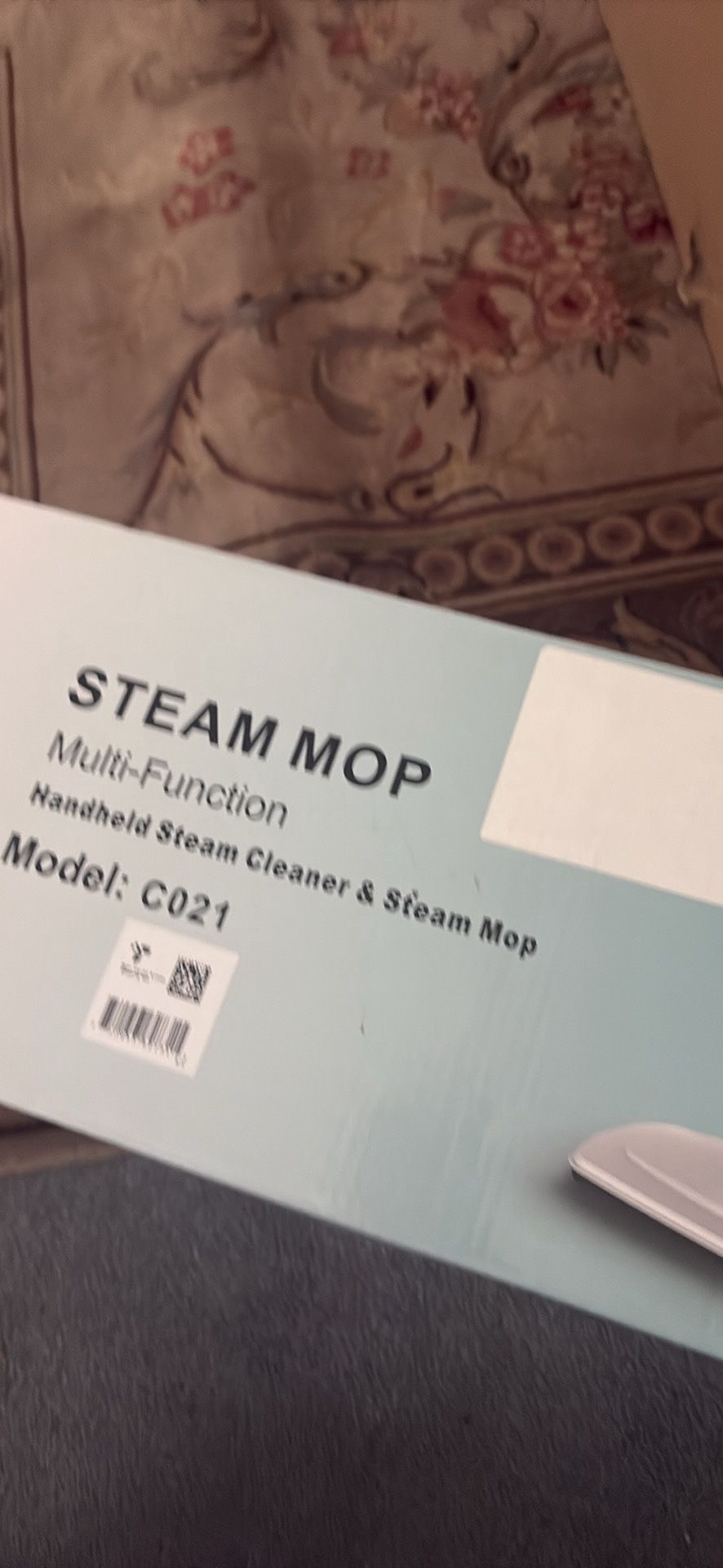 Steam Mop