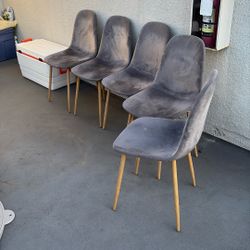 Velvet Living/Dining Chairs