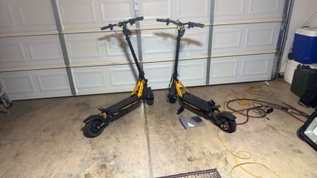 2 Ausome Leopard Scooters