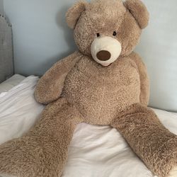 Big Teddy Bear 🧸 