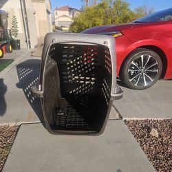 Dog crate -PetSmart.  For a big dog