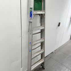 6ft Ladder