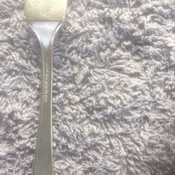 Gailstyn Rosebud Silver Plate Butter Knive.  Sold As Is