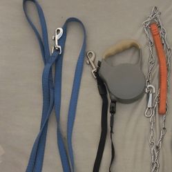 Small Dog Leashes