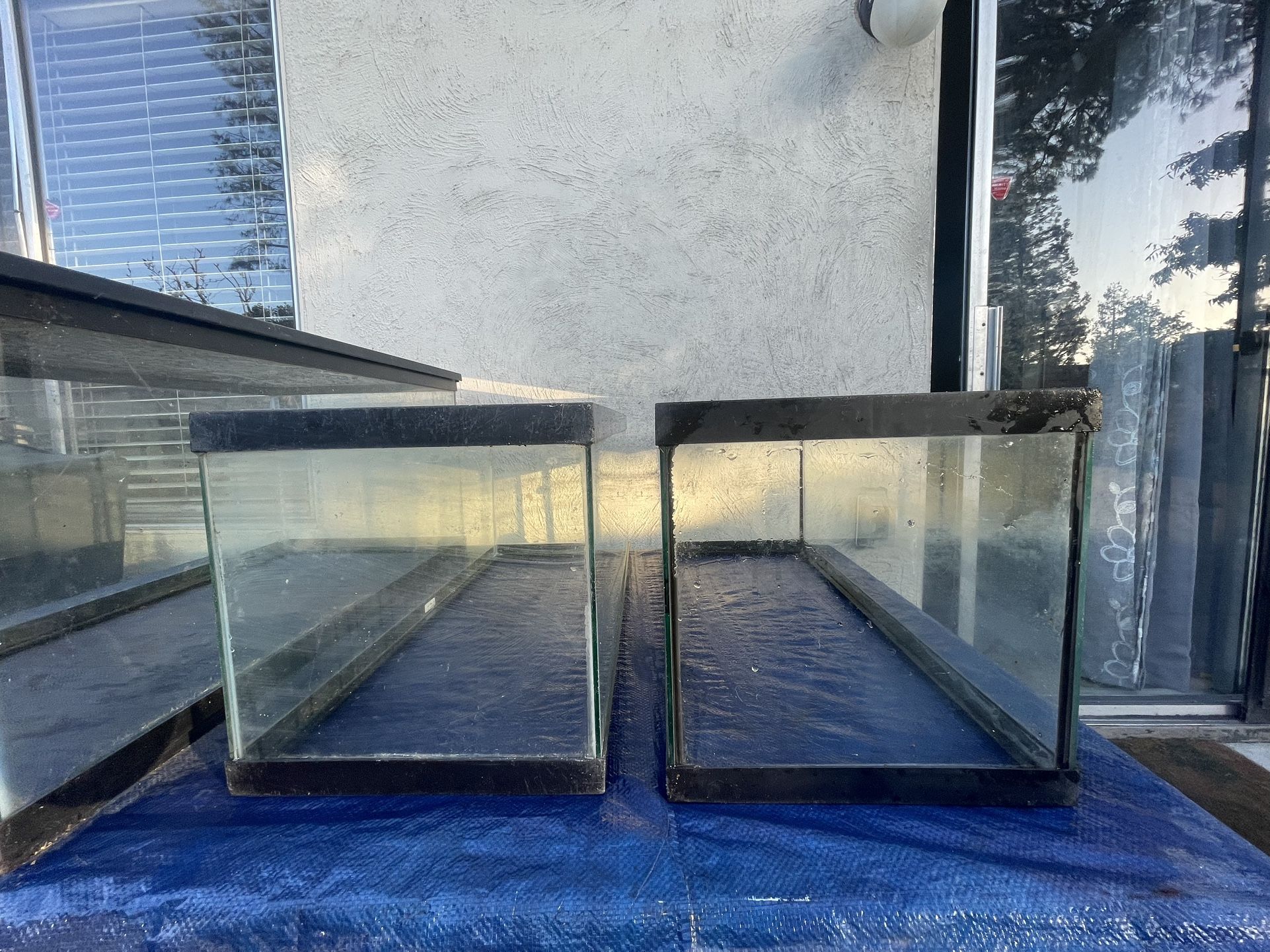 20 Gallon Tank