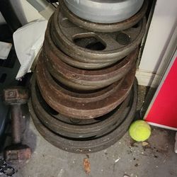 Weights Plates & Curling Bar