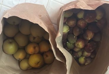 4 dozen figs and asian pears