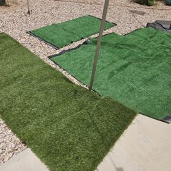 Synthetic Grass
Each piece about 5x4'