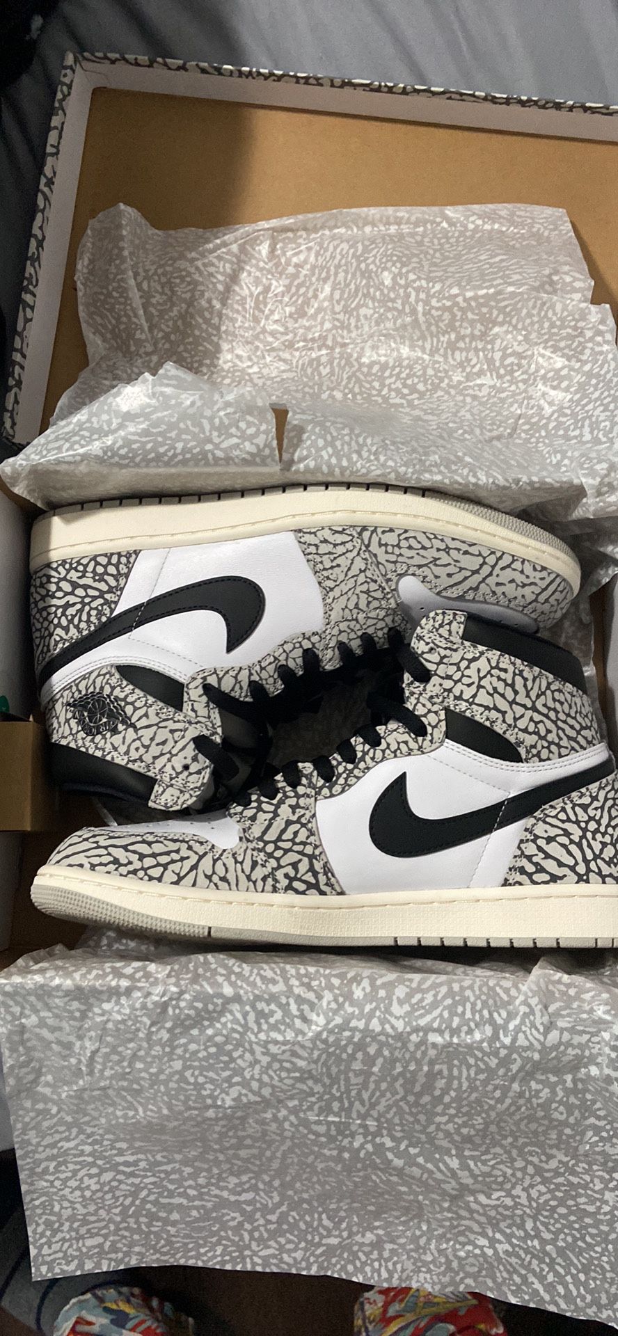 Jordan 1 Size 10.5
