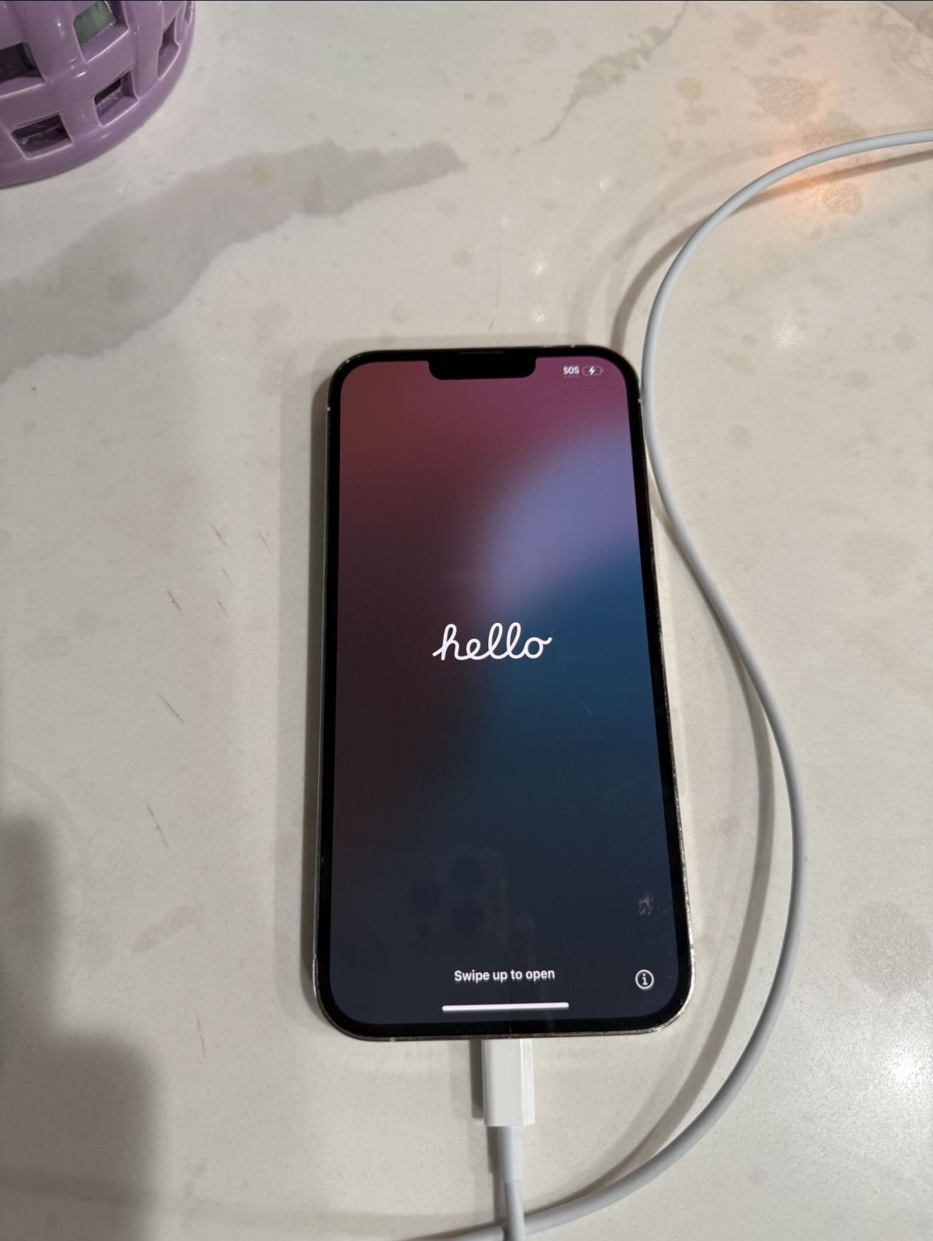 iPhone 13 Pro Max