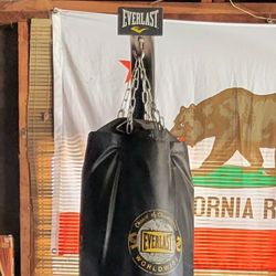 Everlast Stand And Heavy Bag With Speed Bag 