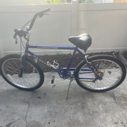 À Nice Beach Cruiser Bike Runs Great 