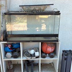 Zoo Med Open Door Tank 