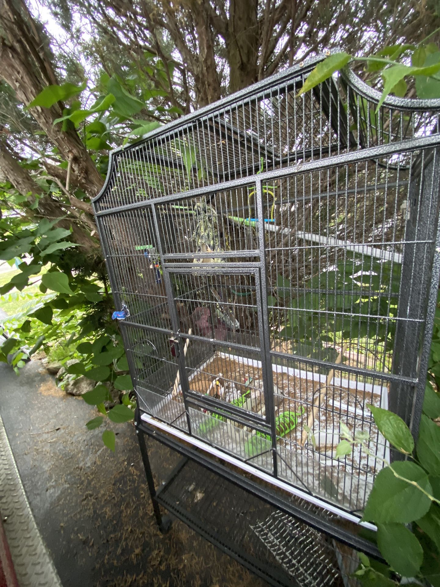 A large bird cage