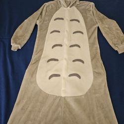 Totoro Onesis