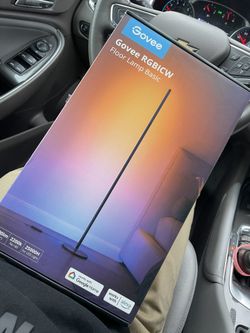 Govee floor Lamp