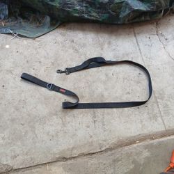 Kong Leash