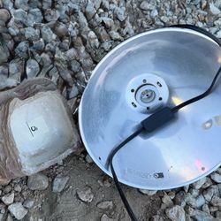 Assorted Reptile Items