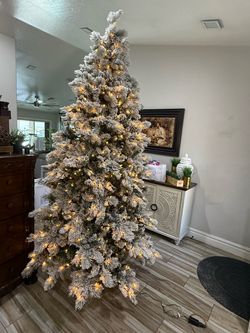 Beautiful 🎄 Christmas 🎄 tree