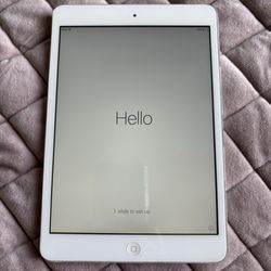 iPad Mini 1st Generation Silver