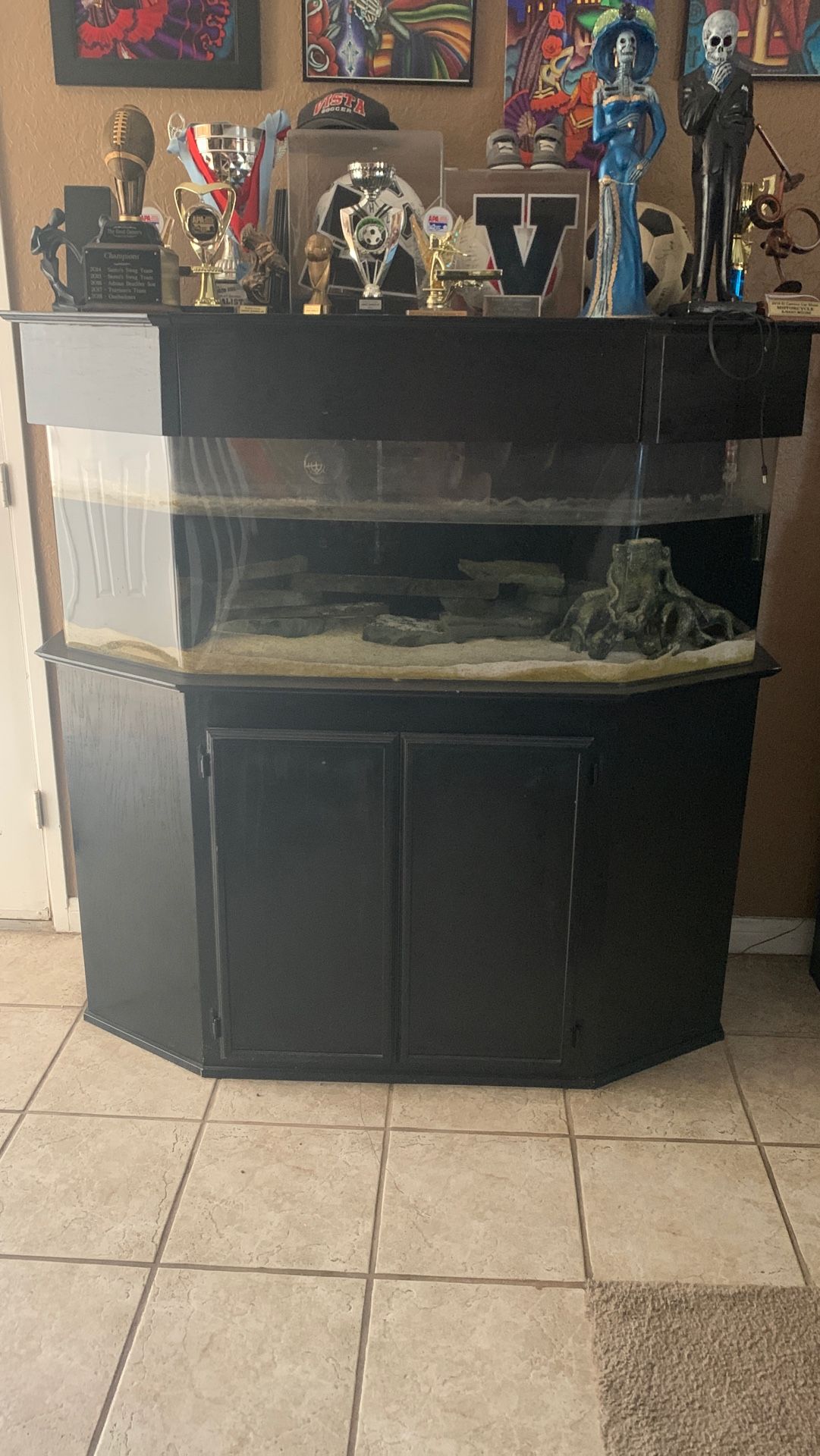 Acrylic aquarium 55 gallon