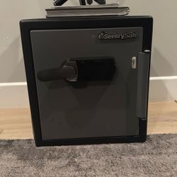 Sentry Safe