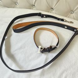 Coach Dog Belt