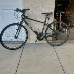 Giant Bike