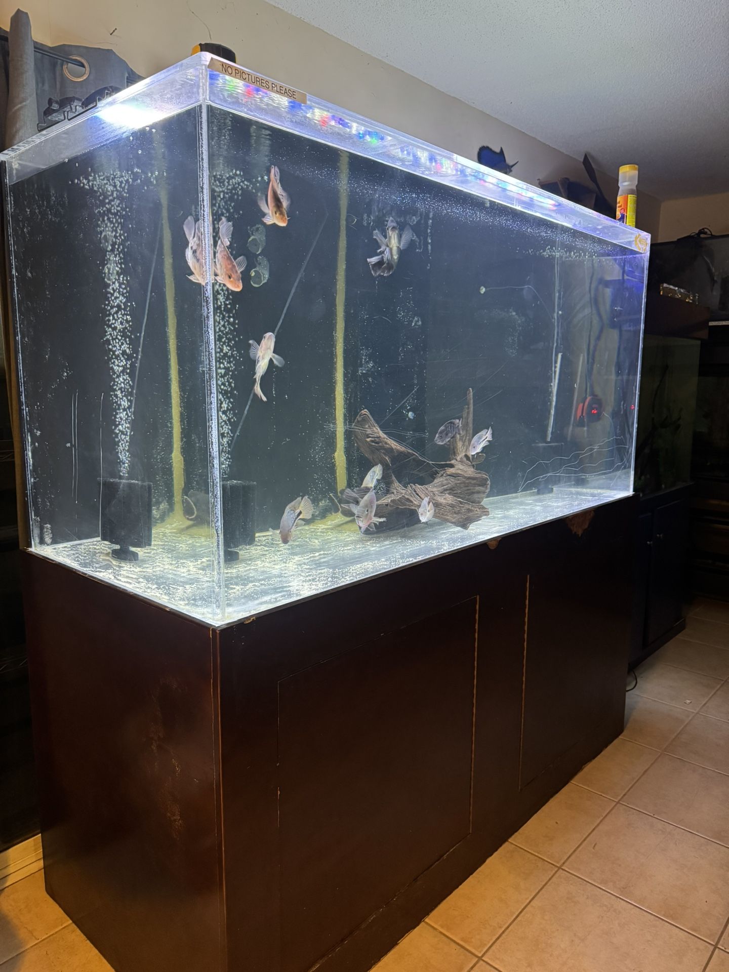 Fish Tank Aquarium 340 Gallon Acrylic 
