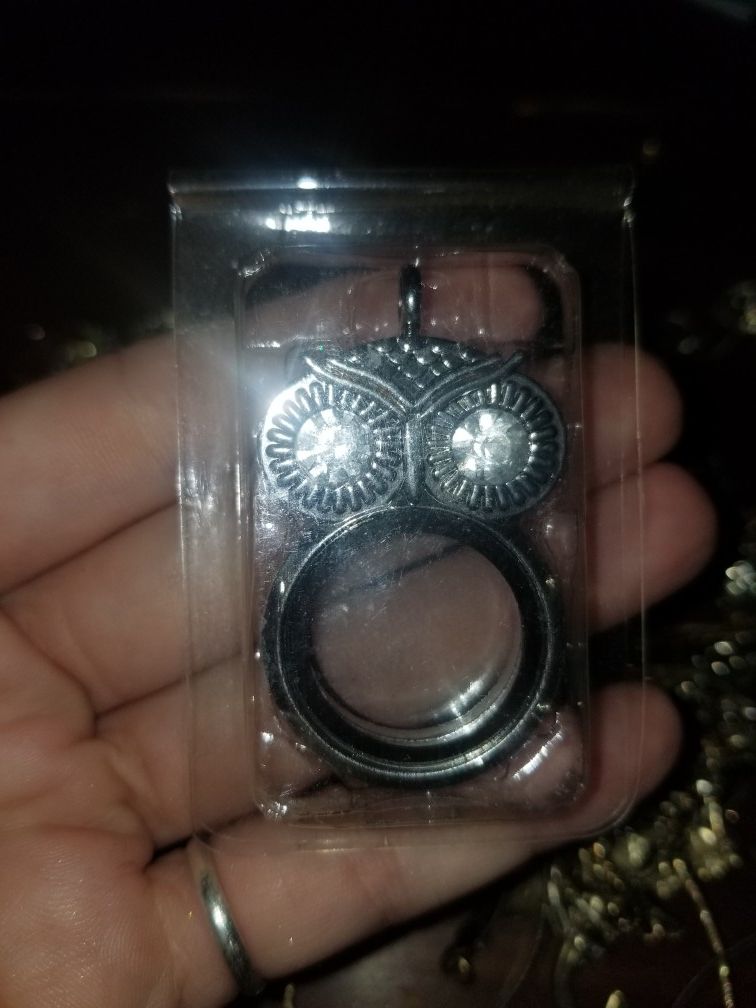 Origami owl? Locket?