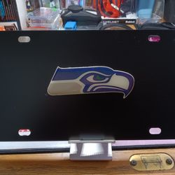Seattle Seahawks Lot