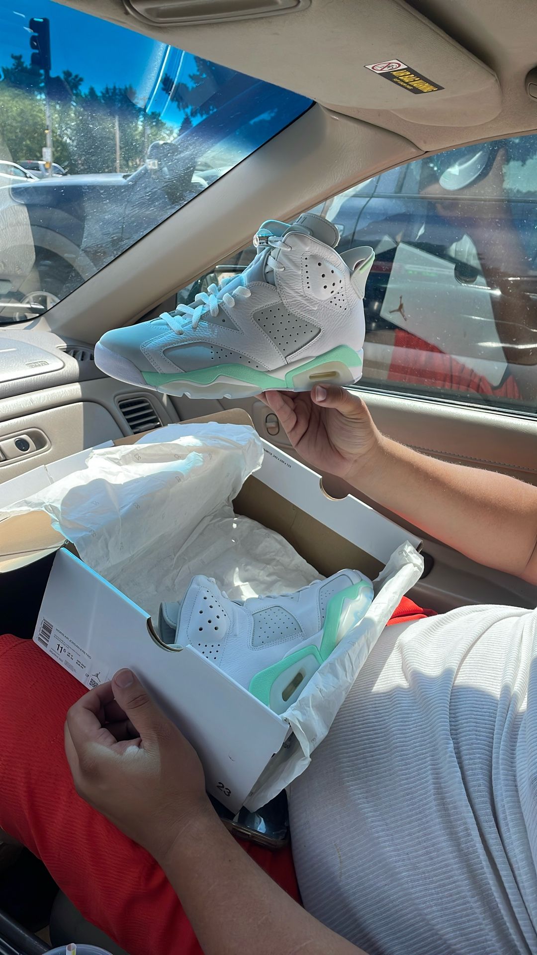 Jordan Retro 6s