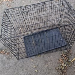 Dog Kennel 