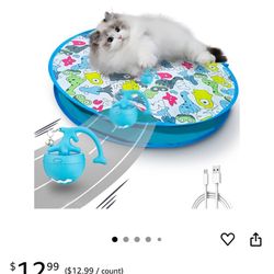  Cat Toy 