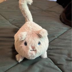 Grey Kitten Caboodle Jelly Cat