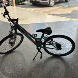 Girls Bike Schwinn