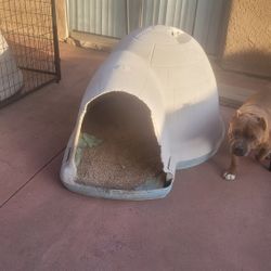 Dog House 