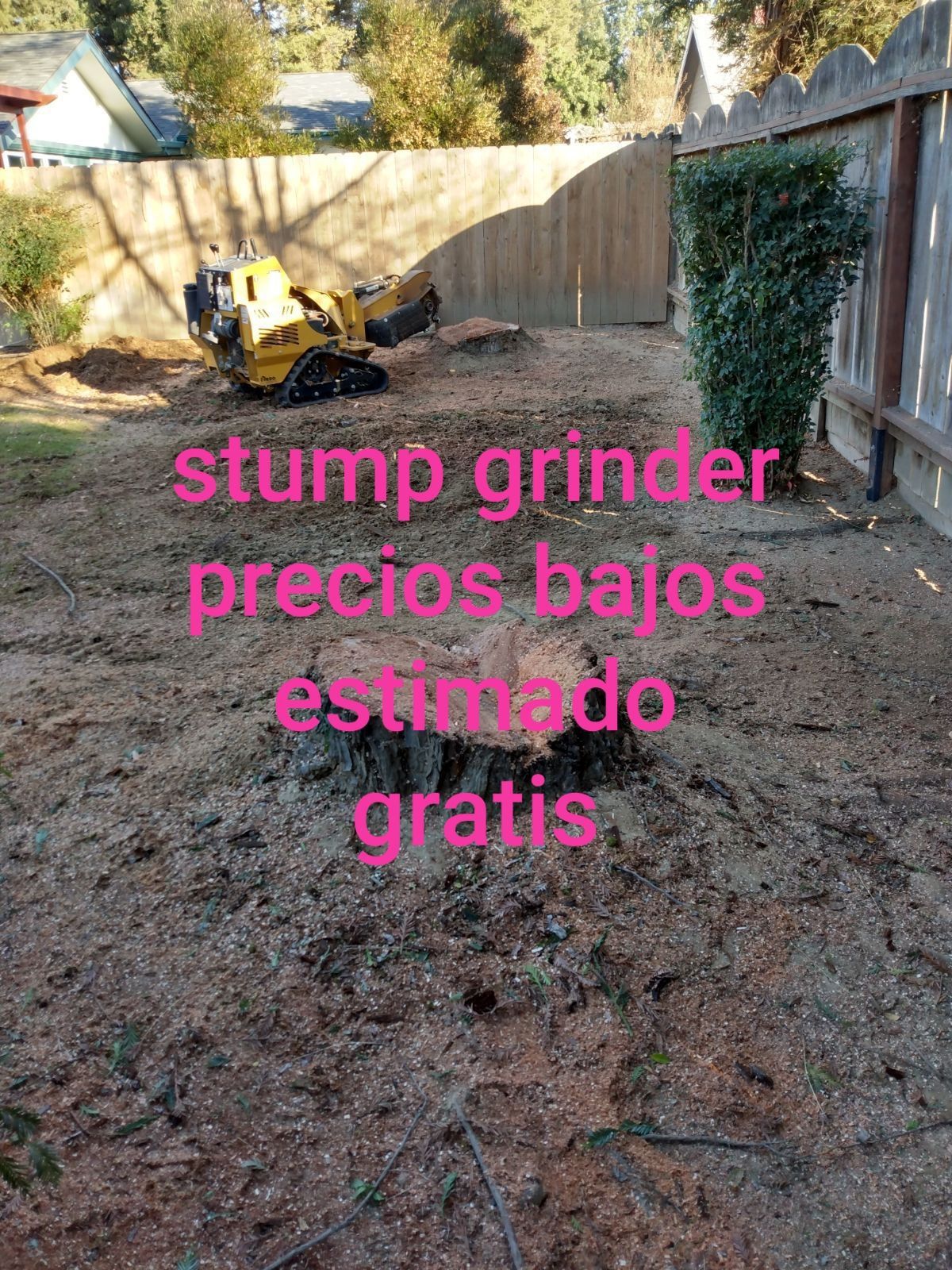 Stump Grinding