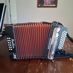 Panther Accordian