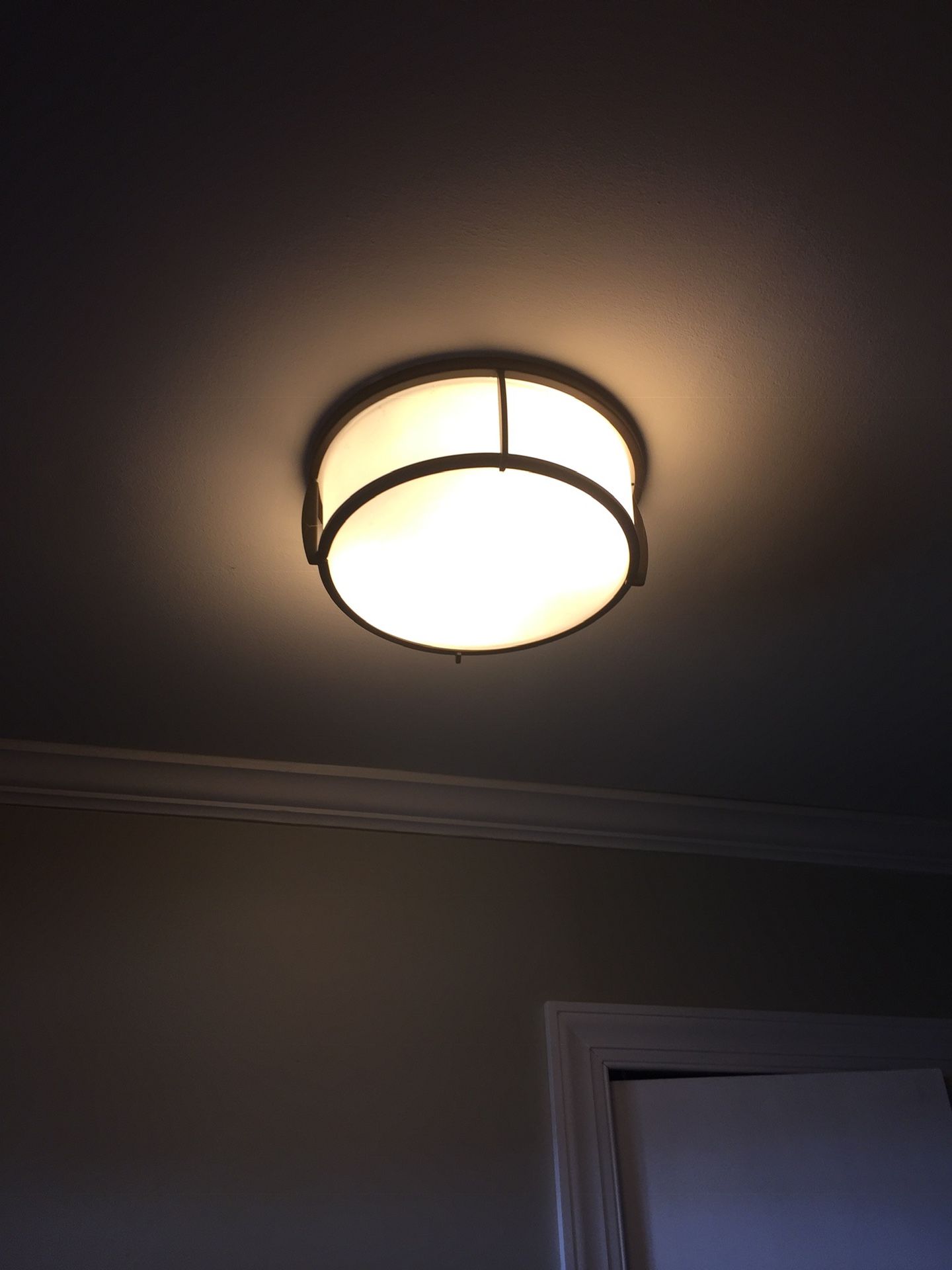 Ceiling Light Fixture