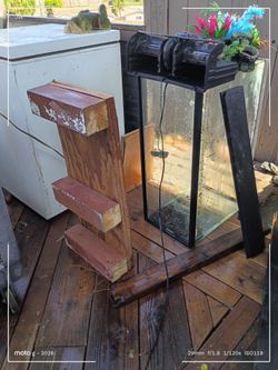 50 gallon aquarium