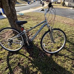 Adult 7 Speed Bicycle