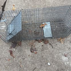 Trap for skunk or pass