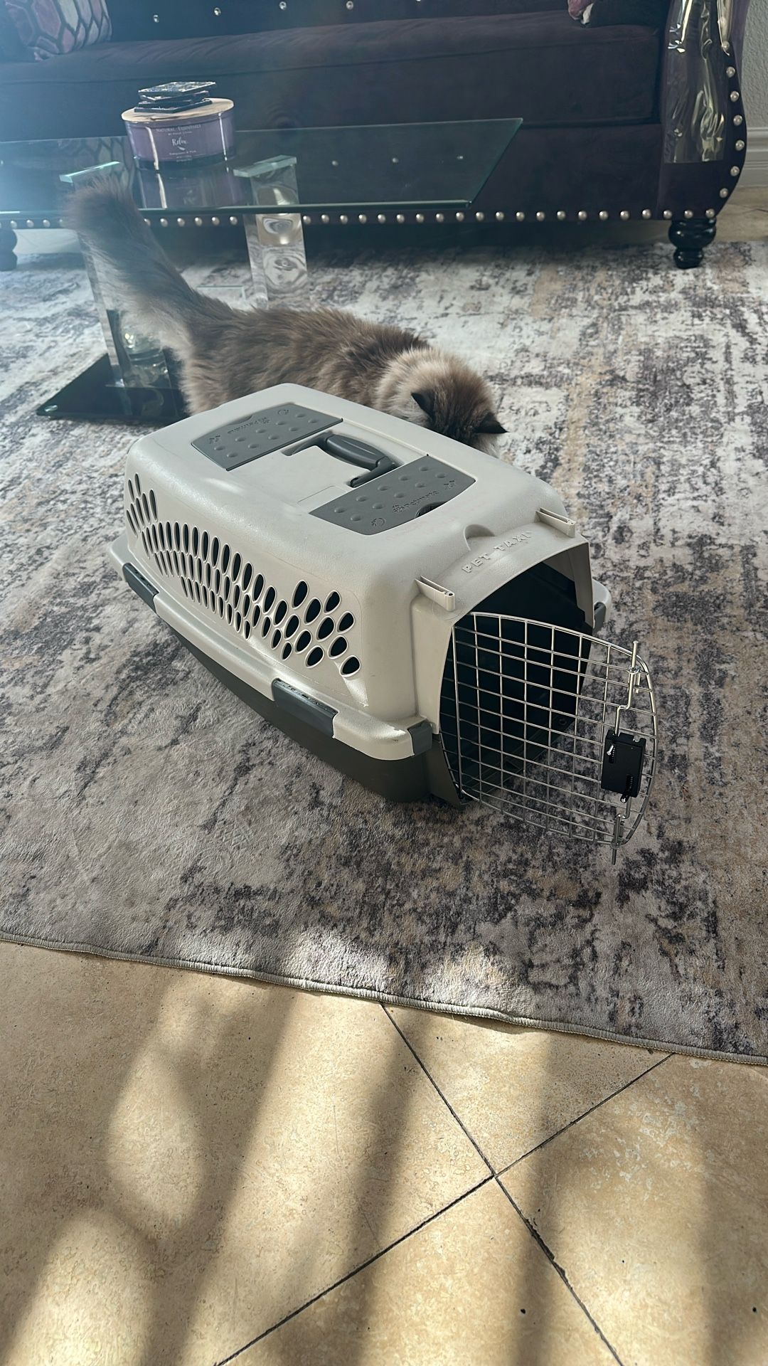 Cat Kennel