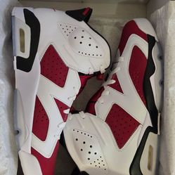2021 Jordan 6 Retro Carmine Size 11 New $240