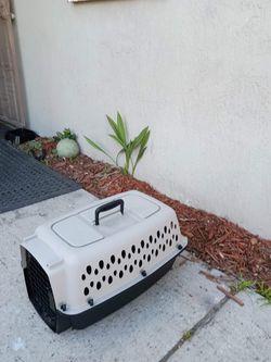 Medium Size Carrier