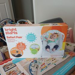Brand New In Box  Baby  Bouncer