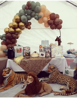 Safari Animals 