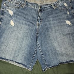 Torrid shorts 20